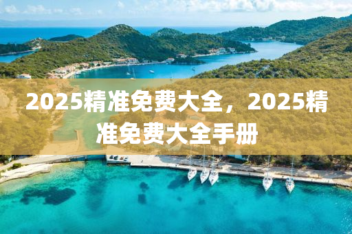 2025精准免费大全，2025精准免费大全手册