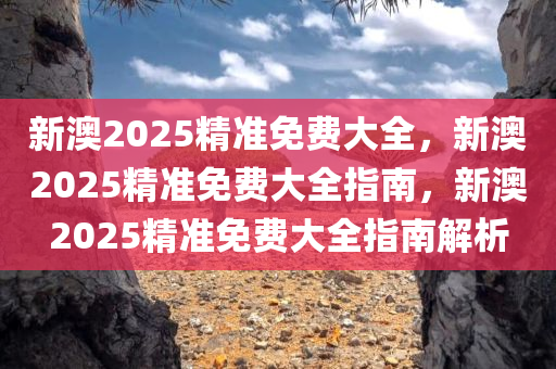 新澳2025精准免费大全，新澳2025精准免费大全指南，新澳2025精准免费大全指南解析