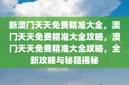 新澳门天天免费精准大全，澳门天天免费精准大全攻略，澳门天天免费精准大全攻略，全新攻略与秘籍揭秘