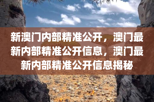新澳门内部精准公开，澳门最新内部精准公开信息，澳门最新内部精准公开信息揭秘