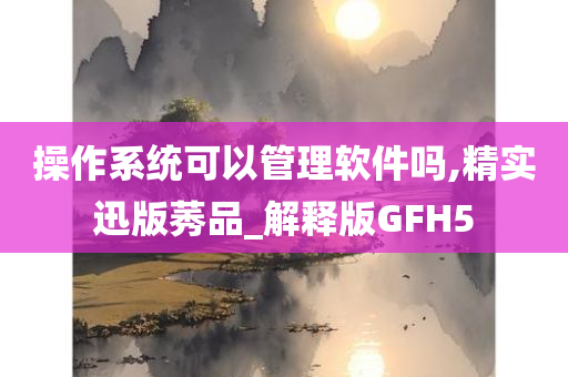 操作系统可以管理软件吗,精实迅版莠品_解释版GFH5