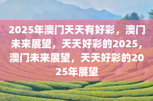 2025年澳门天天有好彩，澳门未来展望，天天好彩的2025，澳门未来展望，天天好彩的2025年展望