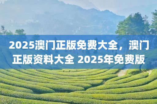 2025澳门正版免费大全，澳门正版资料大全 2025年免费版