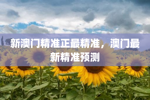 新澳门精准正最精准，澳门最新精准预测