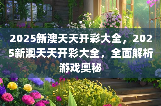 2025新澳天天开彩大全，2025新澳天天开彩大全，全面解析游戏奥秘