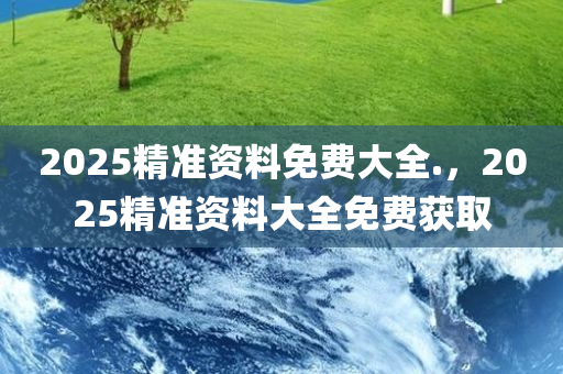 2025精准资料免费大全.，2025精准资料大全免费获取