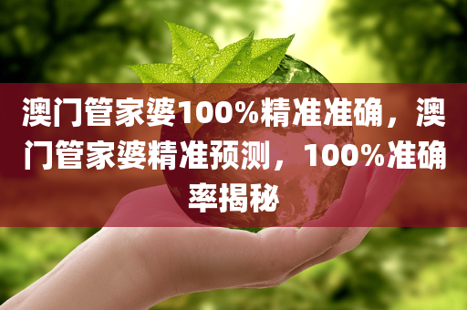 澳门管家婆100%精准准确，澳门管家婆精准预测，100%准确率揭秘