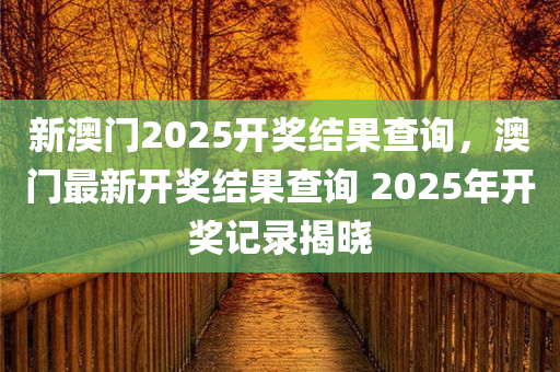 新澳门2025开奖结果查询，澳门最新开奖结果查询 2025年开奖记录揭晓