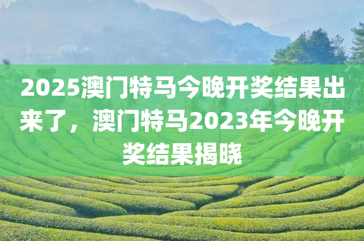 2025澳门特马今晚开奖结果出来了，澳门特马2023年今晚开奖结果揭晓
