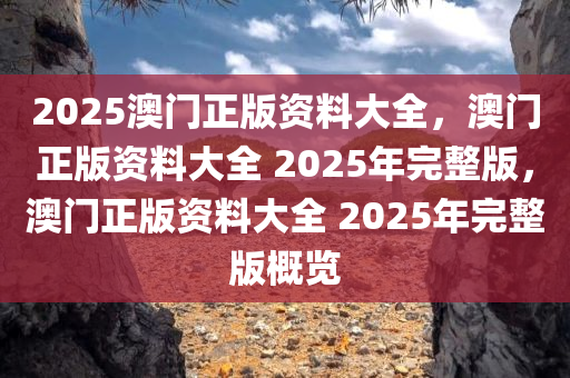 2025澳门正版资料大全，澳门正版资料大全 2025年完整版，澳门正版资料大全 2025年完整版概览