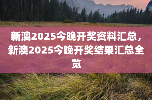 新澳2025今晚开奖资料汇总，新澳2025今晚开奖结果汇总全览