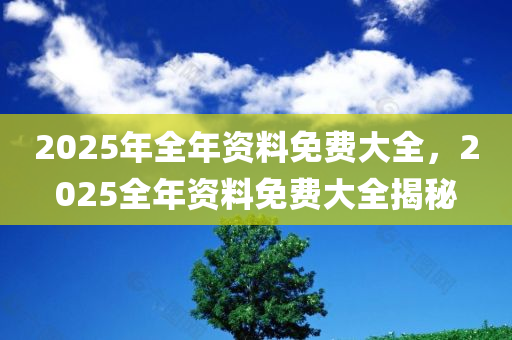 2025年全年资料免费大全，2025全年资料免费大全揭秘