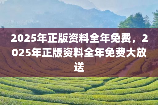 2025年正版资料全年免费，2025年正版资料全年免费大放送