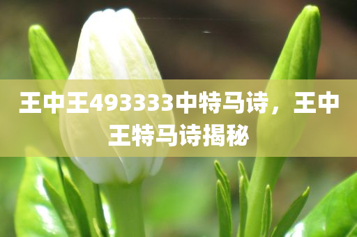 王中王493333中特马诗，王中王特马诗揭秘