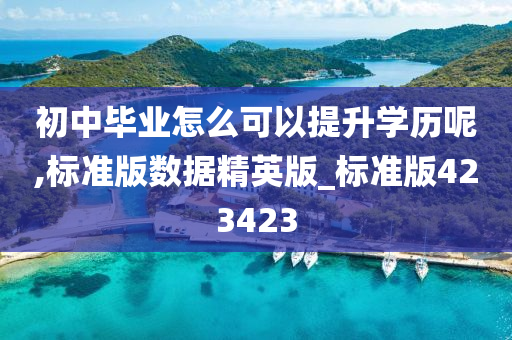 初中毕业怎么可以提升学历呢,标准版数据精英版_标准版423423