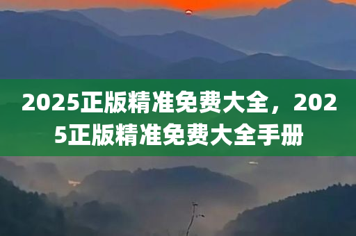 2025正版精准免费大全，2025正版精准免费大全手册