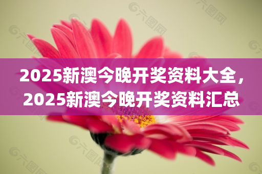 2025新澳今晚开奖资料大全，2025新澳今晚开奖资料汇总