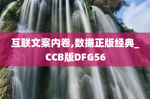 互联文案内卷,数据正版经典_CCB版DFG56