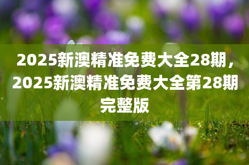2025新澳精准免费大全28期，2025新澳精准免费大全第28期完整版