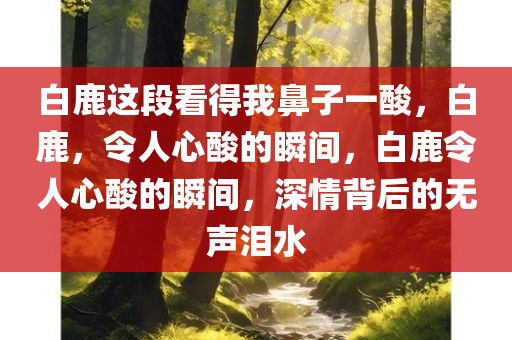 白鹿这段看得我鼻子一酸，白鹿，令人心酸的瞬间，白鹿令人心酸的瞬间，深情背后的无声泪水