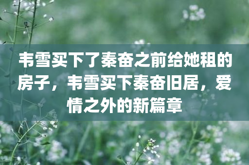 韦雪买下了秦奋之前给她租的房子，韦雪买下秦奋旧居，爱情之外的新篇章，韦雪购得秦奋旧居，开启爱情之外新篇章