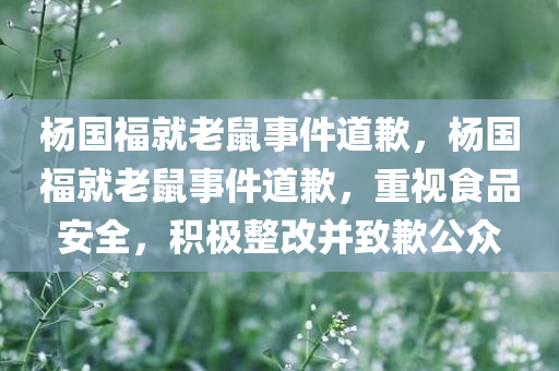 杨国福就老鼠事件道歉，杨国福就老鼠事件道歉，重视食品安全，积极整改并致歉公众