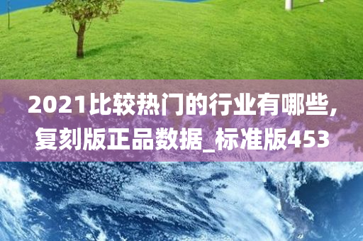 2021比较热门的行业有哪些,复刻版正品数据_标准版453