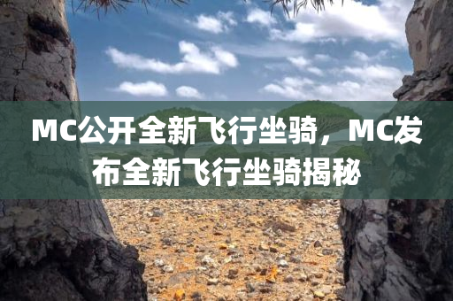 MC公开全新飞行坐骑，MC发布全新飞行坐骑揭秘，MC全新飞行坐骑揭秘亮相，震撼登场！