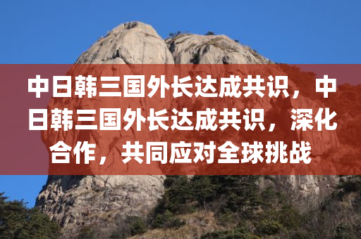 中日韩三国外长达成共识，中日韩三国外长达成共识，深化合作，共同应对全球挑战