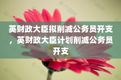 英财政大臣拟削减公务员开支，英财政大臣计划削减公务员开支