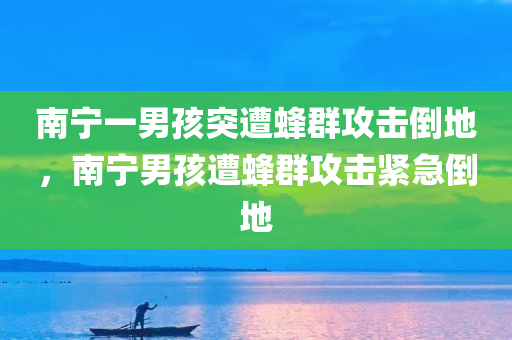 南宁一男孩突遭蜂群攻击倒地，南宁男孩遭蜂群攻击紧急倒地