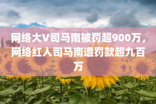 网络大V司马南被罚超900万，网络红人司马南遭罚款超九百万