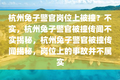 杭州兔子警官岗位上被撞？不实，杭州兔子警官被撞传闻不实揭秘，杭州兔子警官被撞传闻揭秘，岗位上的事故并不属实