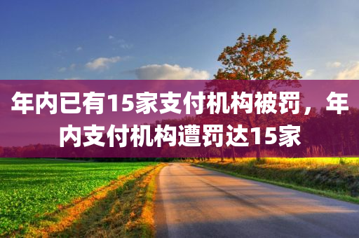 年内已有15家支付机构被罚，年内支付机构遭罚达15家