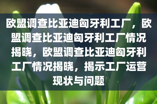 欧盟调查比亚迪匈牙利工厂，欧盟调查比亚迪匈牙利工厂情况揭晓，欧盟调查比亚迪匈牙利工厂情况揭晓，揭示工厂运营现状与问题