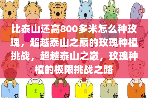 比泰山还高800多米怎么种玫瑰，超越泰山之巅的玫瑰种植挑战，超越泰山之巅，玫瑰种植的极限挑战之路