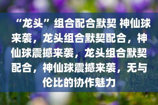 “龙头”组合配合默契 神仙球来袭，龙头组合默契配合，神仙球震撼来袭，龙头组合默契配合，神仙球震撼来袭，无与伦比的协作魅力