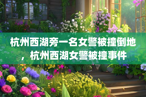 杭州西湖旁一名女警被撞倒地，杭州西湖女警被撞事件