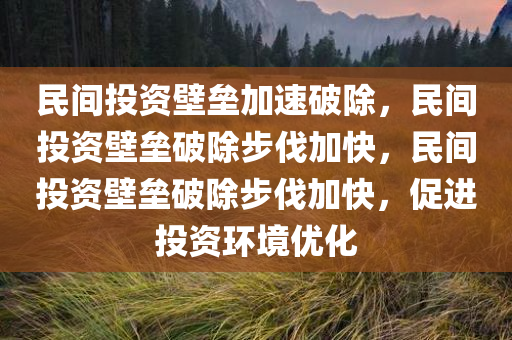 民间投资壁垒加速破除，民间投资壁垒破除步伐加快，民间投资壁垒破除步伐加快，促进投资环境优化