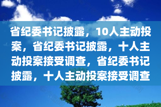 省纪委书记披露，10人主动投案，省纪委书记披露，十人主动投案接受调查，省纪委书记披露，十人主动投案接受调查