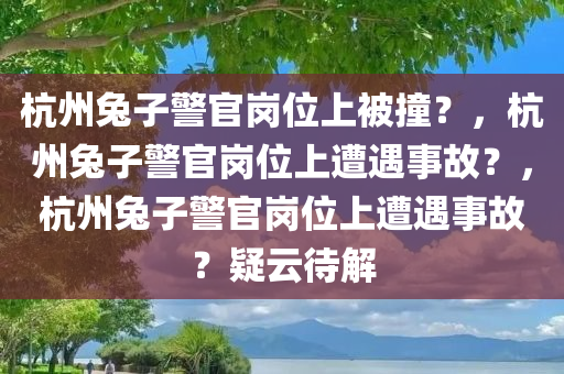 杭州兔子警官岗位上被撞？，杭州兔子警官岗位上遭遇事故？，杭州兔子警官岗位上遭遇事故？疑云待解