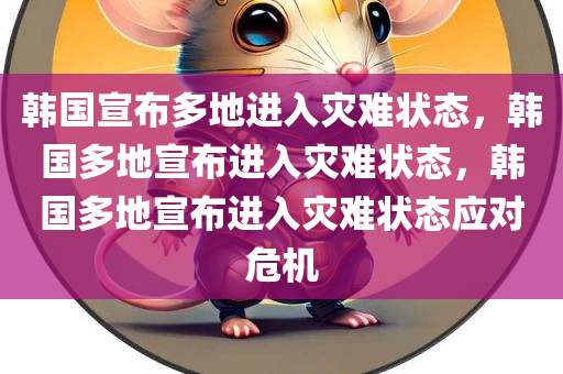 韩国宣布多地进入灾难状态，韩国多地宣布进入灾难状态，韩国多地宣布进入灾难状态应对危机