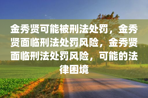 金秀贤可能被刑法处罚，金秀贤面临刑法处罚风险，金秀贤面临刑法处罚风险，可能的法律困境