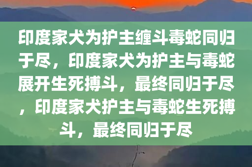 印度家犬为护主缠斗毒蛇同归于尽，印度家犬为护主与毒蛇展开生死搏斗，最终同归于尽，印度家犬护主与毒蛇生死搏斗，最终同归于尽