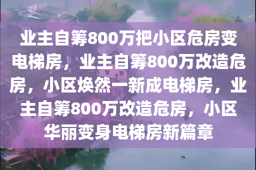 业主自筹800万把小区危房变电梯房，业主自筹800万改造危房，小区焕然一新成电梯房，业主自筹800万改造危房，小区华丽变身电梯房新篇章