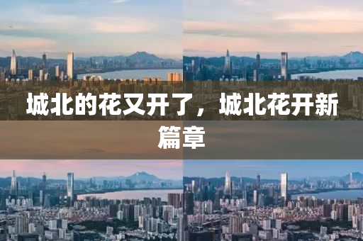 城北的花又开了，城北花开新篇章，城北花开，新篇章绽放光彩