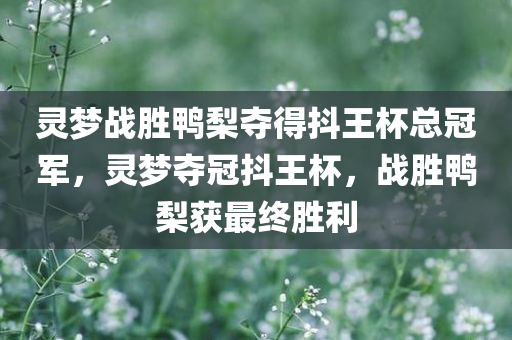 灵梦战胜鸭梨夺得抖王杯总冠军，灵梦夺冠抖王杯，战胜鸭梨获最终胜利