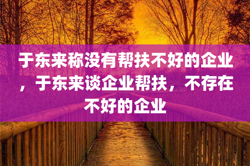于东来称没有帮扶不好的企业，于东来谈企业帮扶，不存在不好的企业