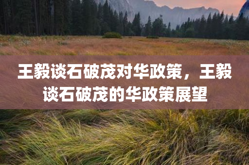 王毅谈石破茂对华政策，王毅谈石破茂的华政策展望