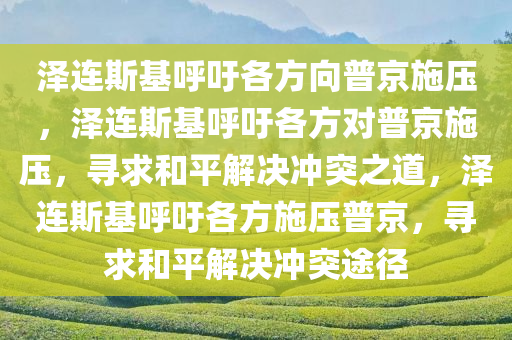 泽连斯基呼吁各方向普京施压，泽连斯基呼吁各方对普京施压，寻求和平解决冲突之道，泽连斯基呼吁各方施压普京，寻求和平解决冲突途径